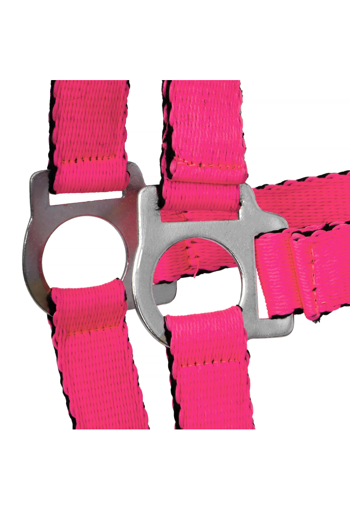 Cavezza HORSE-TRADE Soft Neon