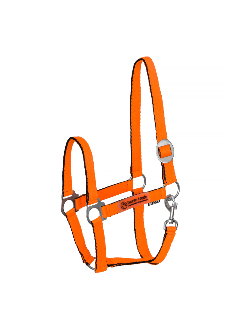 Cavezza HORSE-TRADE Soft Neon