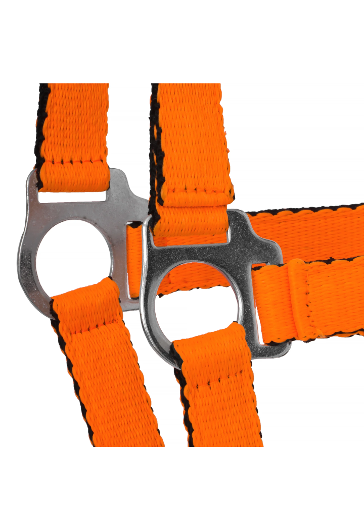 Cavezza HORSE-TRADE Soft Neon