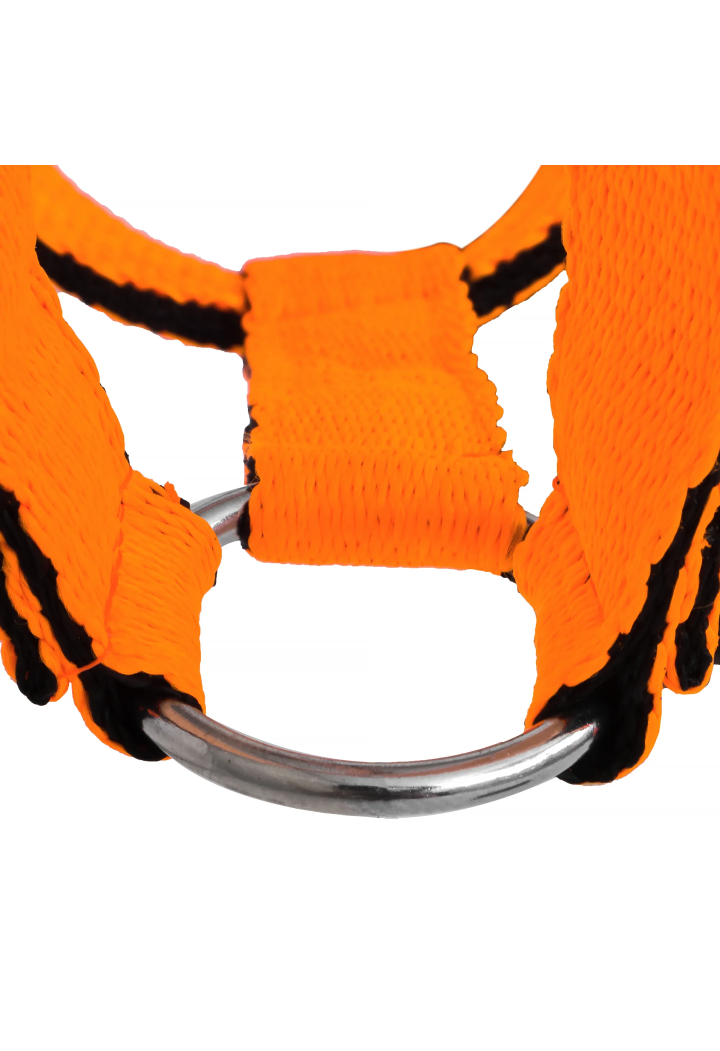 Cavezza HORSE-TRADE Soft Neon