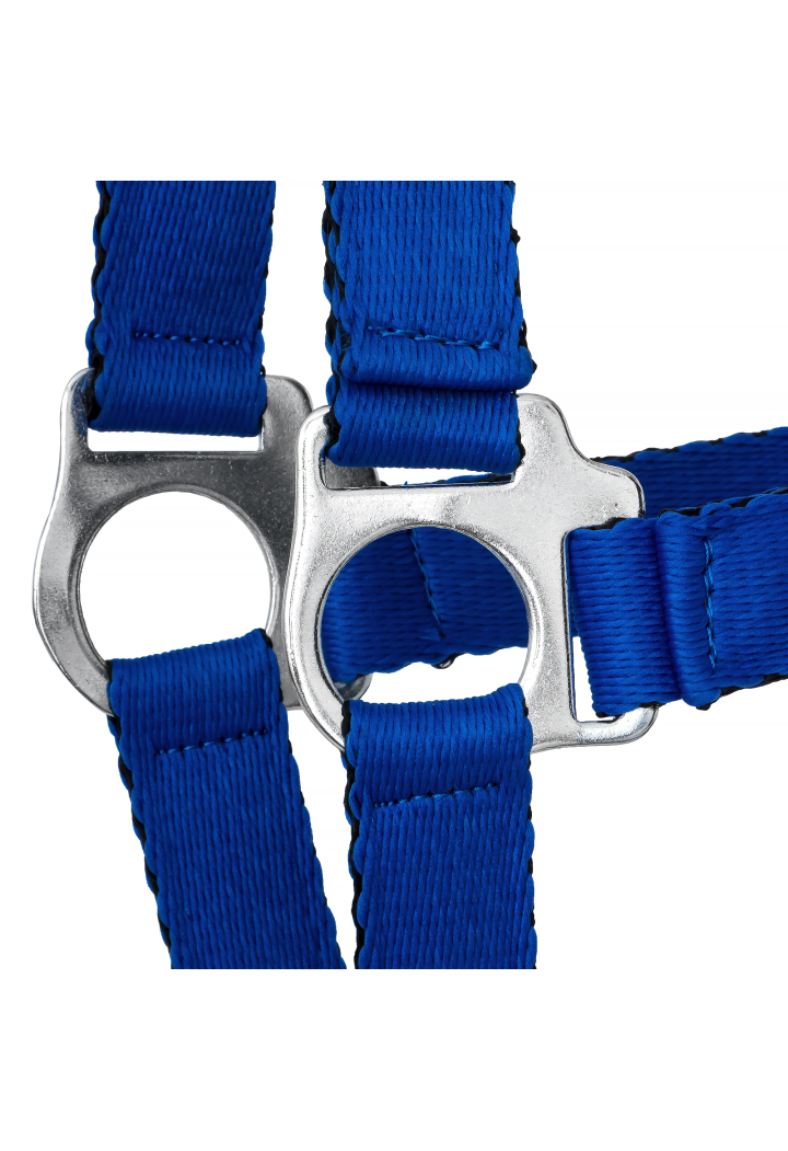 Cavezza HORSE-TRADE Soft Neon