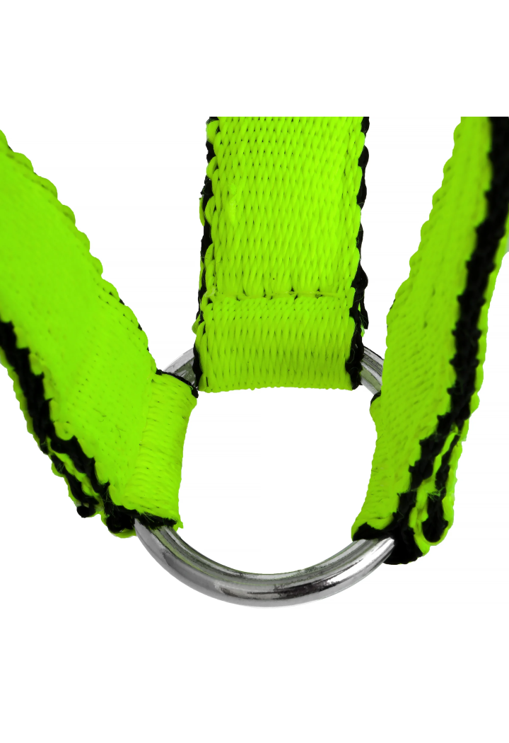 Cavezza HORSE-TRADE Soft Neon