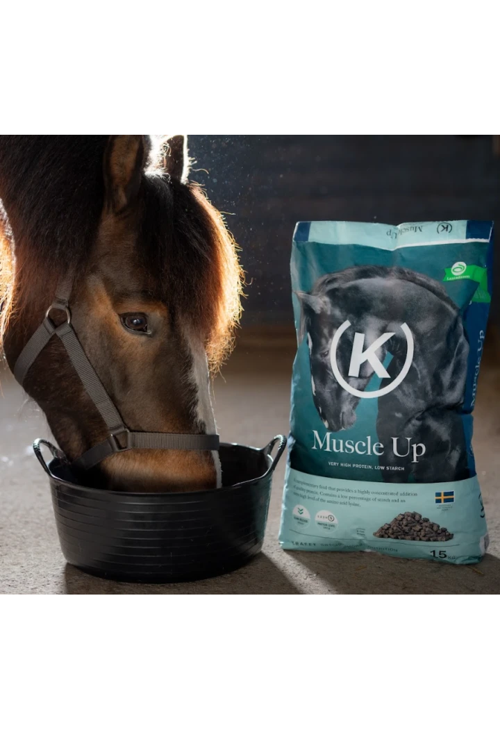 Balancer per la crescita muscolare KRAFFT Muscle Up 15kg