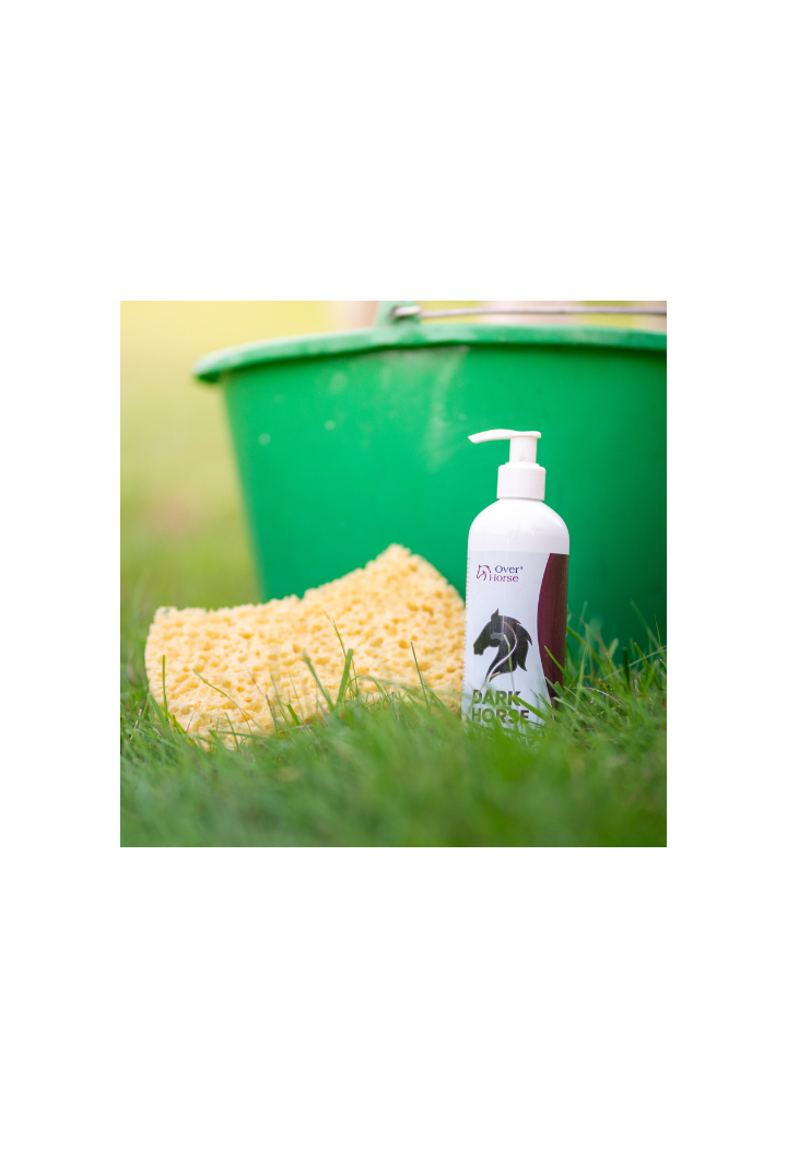 OH DarkHorse 400ml shampoo