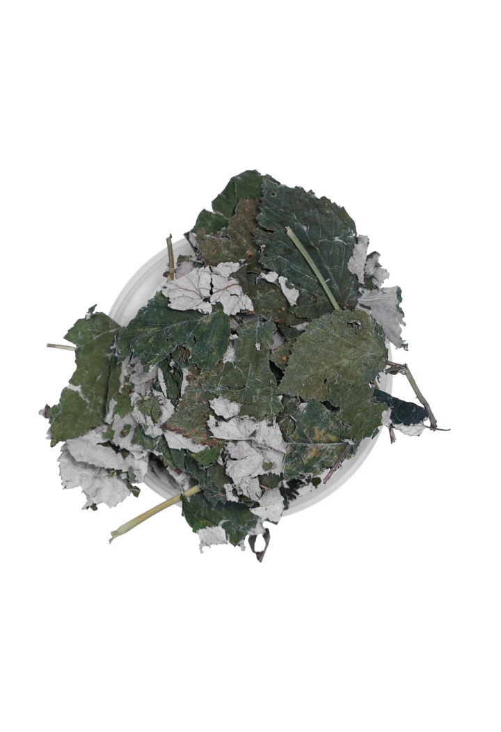 Foglia di lampone EQUIHERBS