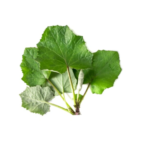 Farfara foglia EQUIHERBS