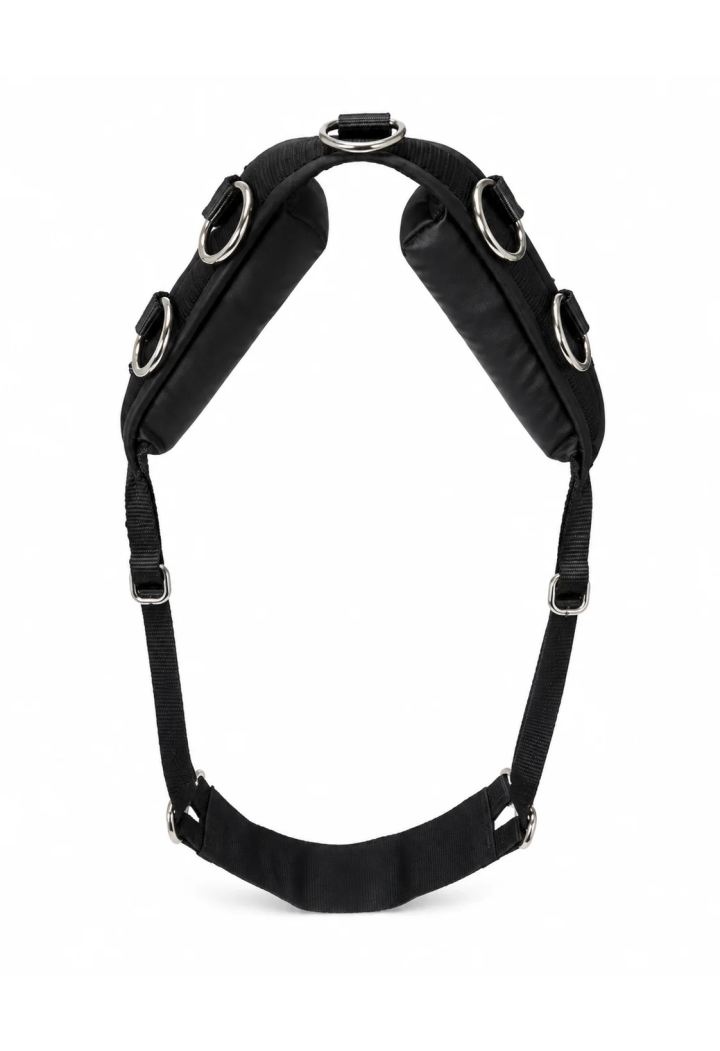 Cintura MUSTANG con sughero foderato in pelle