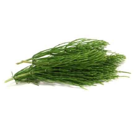 Equiseto EQUIHERBS