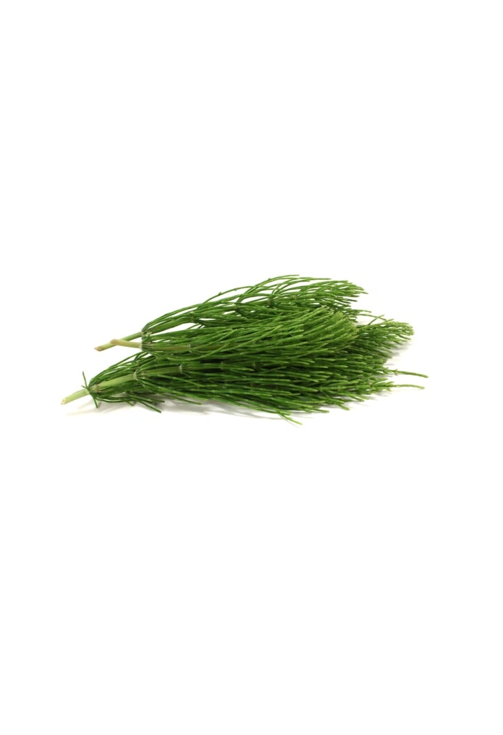 Equiseto EQUIHERBS