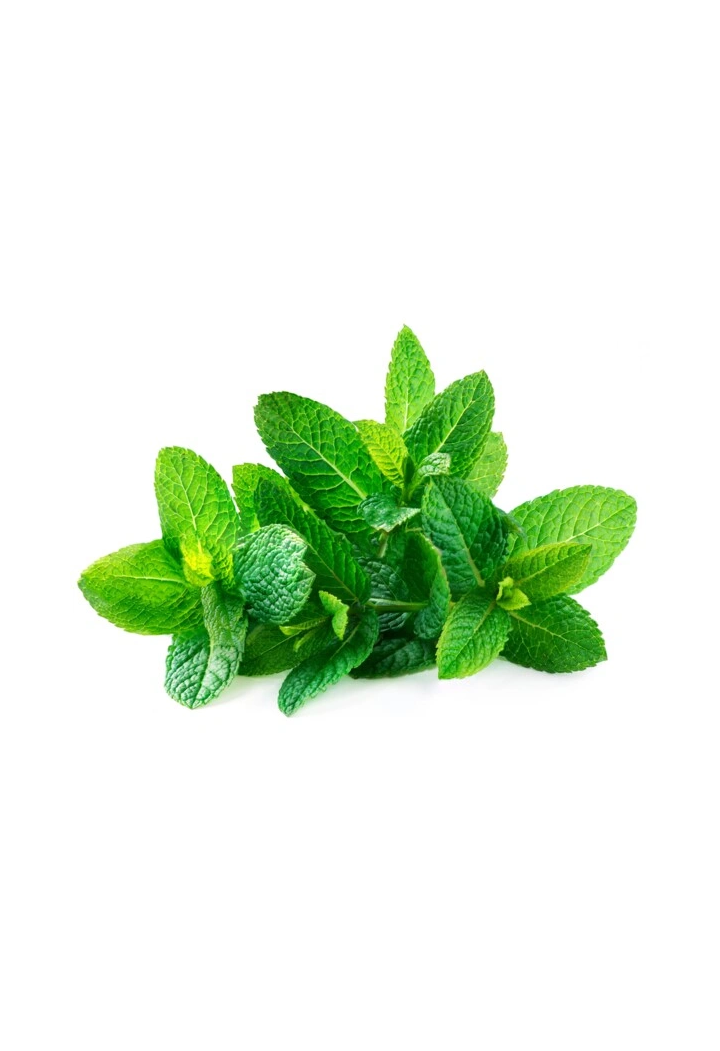 Zecca EQUIHERBS