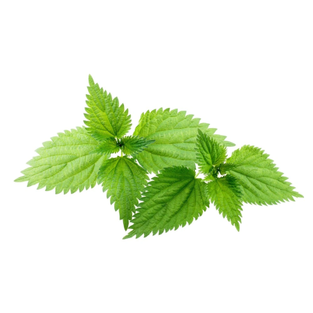 EQUIHERBS curvatura comune