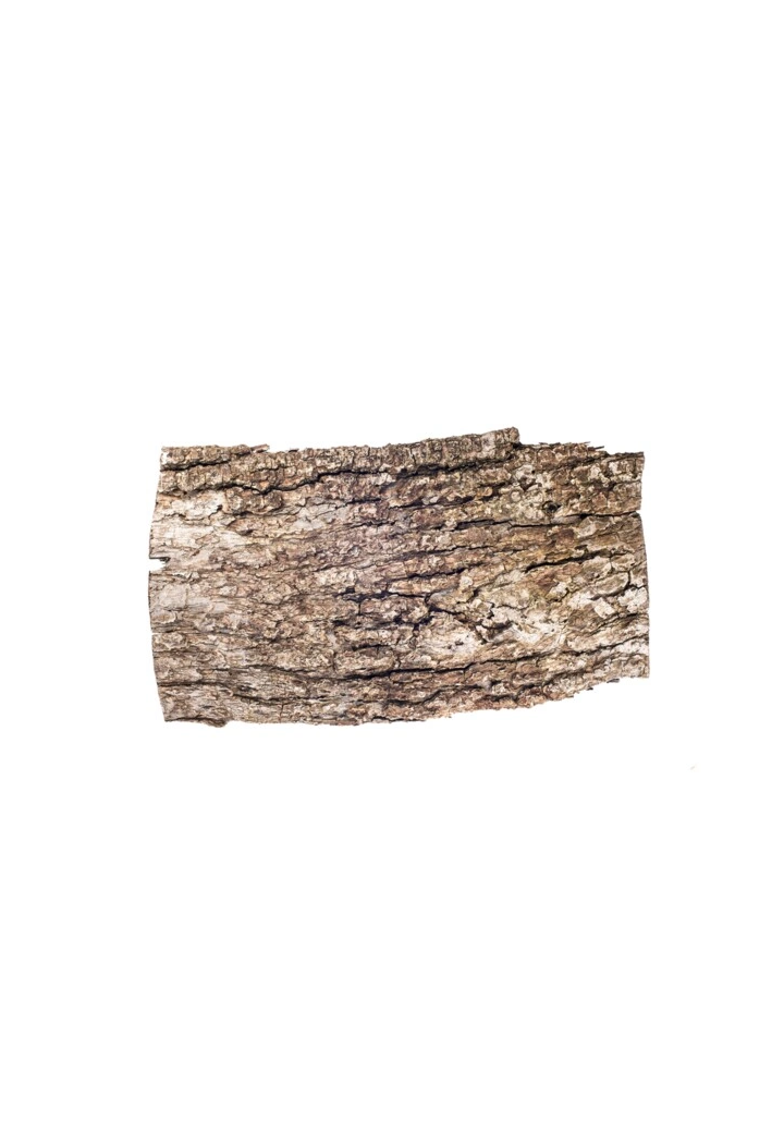 corteccia di quercia taglio EQUIHERBS