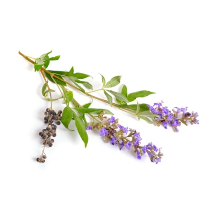 Impocalyptic EQUIHERBS