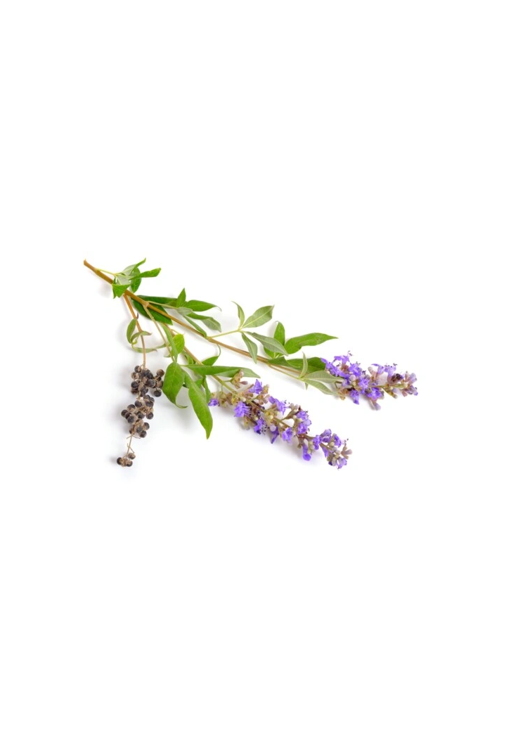 Impocalyptic EQUIHERBS