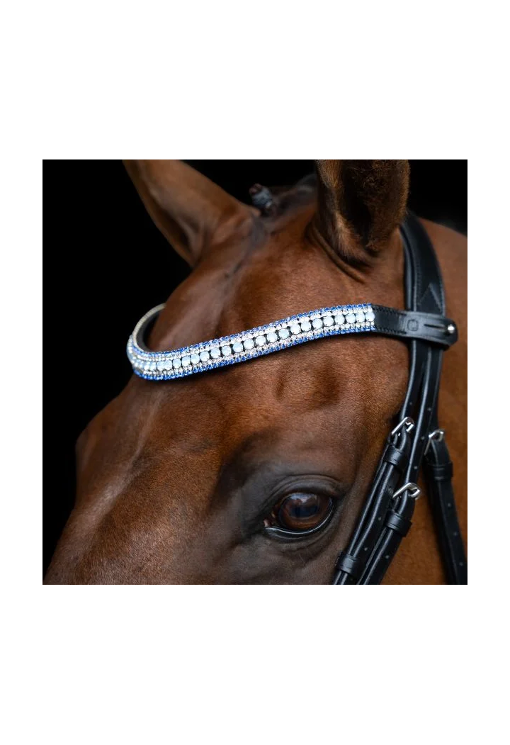 Frontalino IRHMaxima