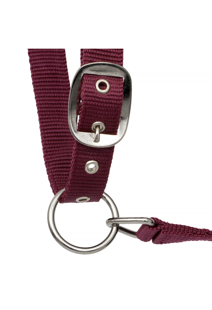 Cavezza START Neoprene Glitter 2 tono