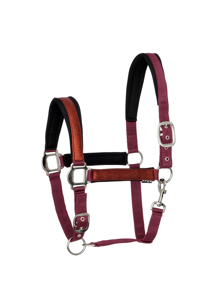 Cavezza START Neoprene Glitter 2 tono