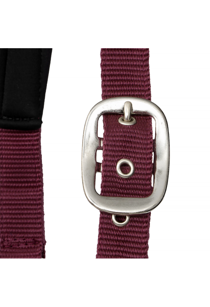 Cavezza START Neoprene Glitter 2 tono