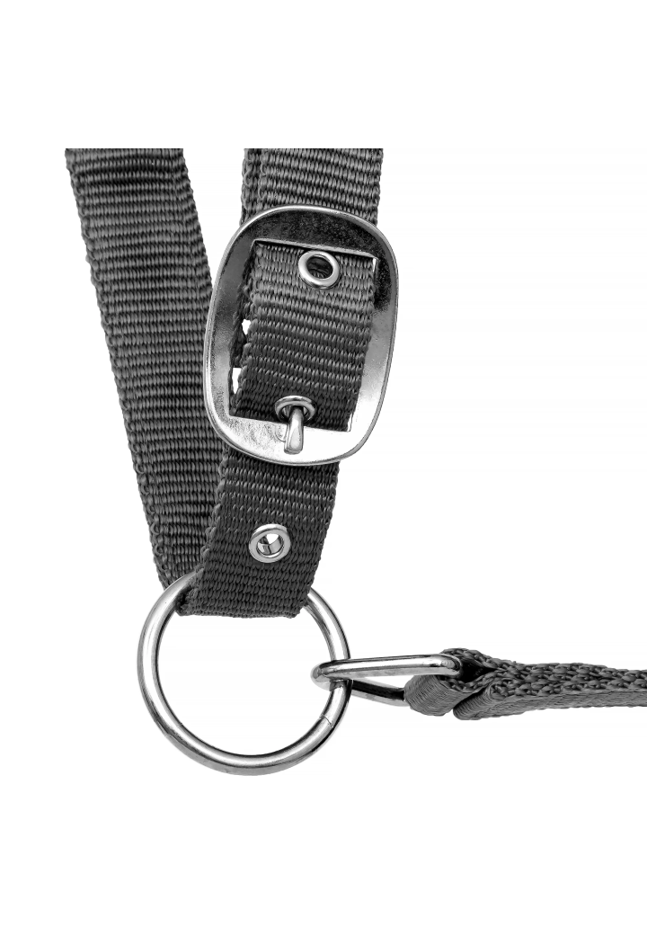 Cavezza START Neoprene Glitter 2 tono