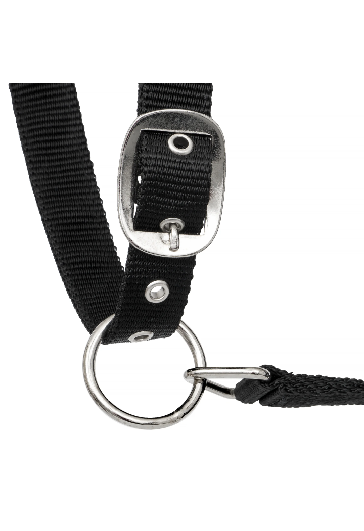 Cavezza START Neoprene Glitter 2 tono