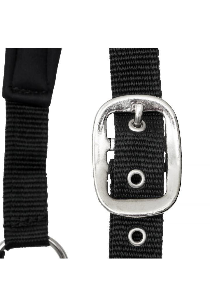 Cavezza START Neoprene Glitter 2 tono