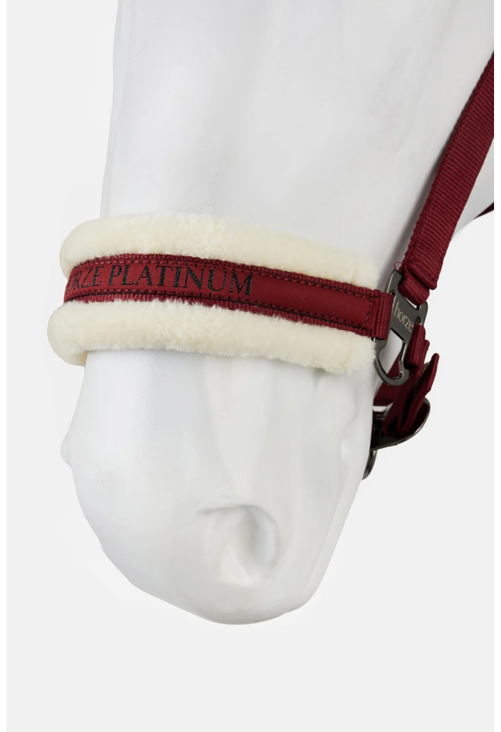 Cavezza HORZE Howard 26AW