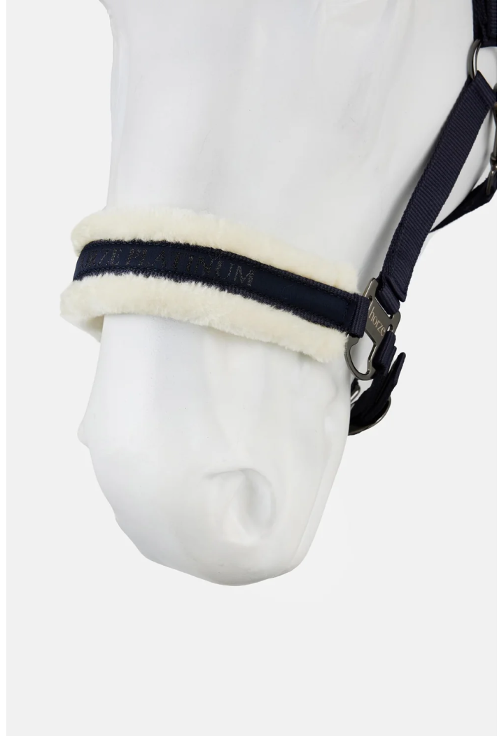 Cavezza HORZE Howard 26AW