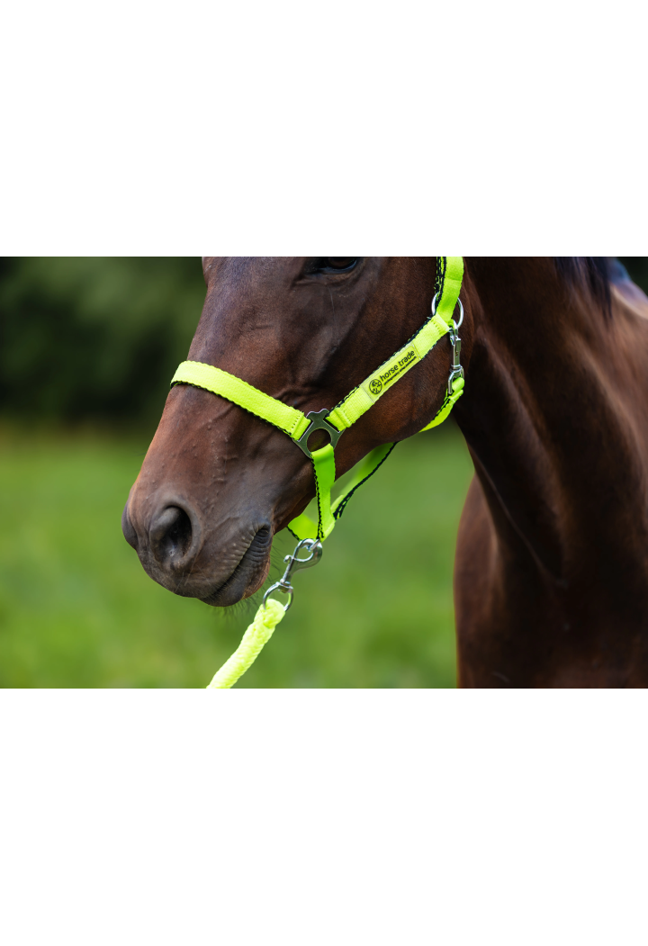 Cavezza HORSE-TRADE Soft Neon