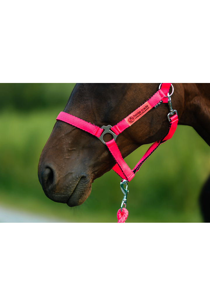 Cavezza HORSE-TRADE Soft Neon
