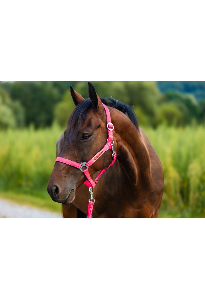 Cavezza HORSE-TRADE Soft Neon