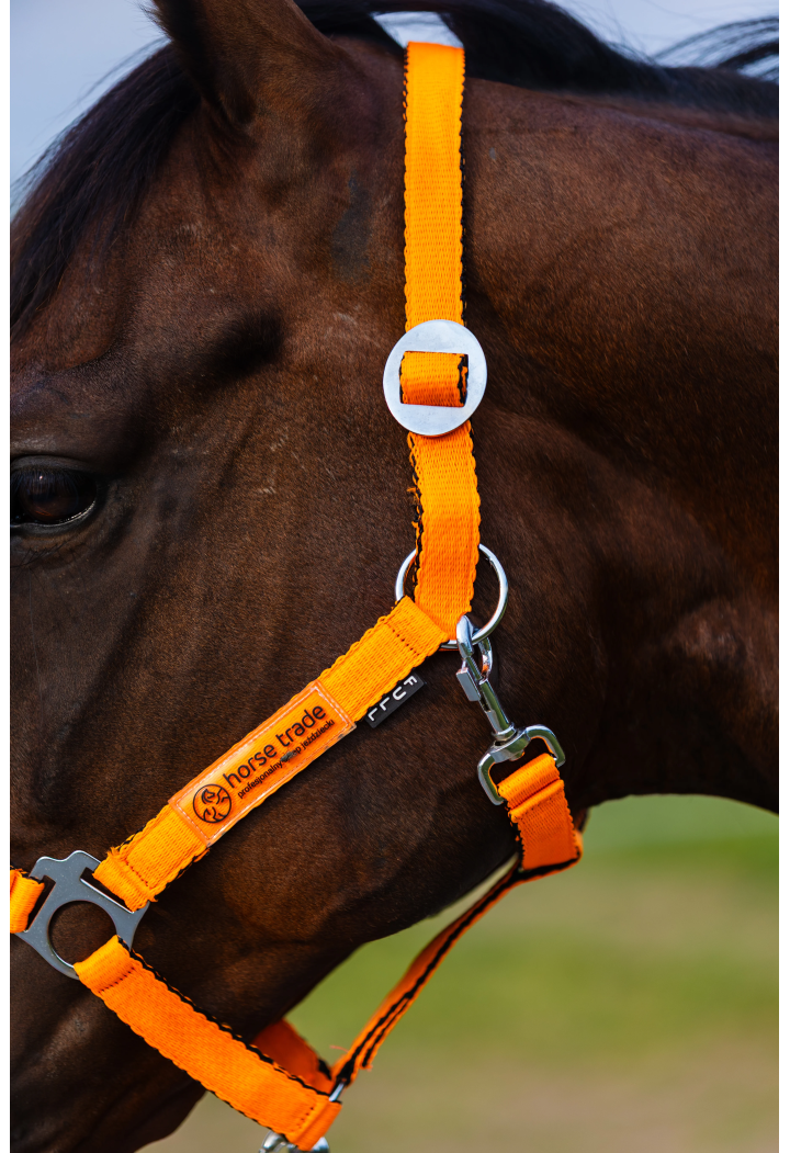 Cavezza HORSE-TRADE Soft Neon