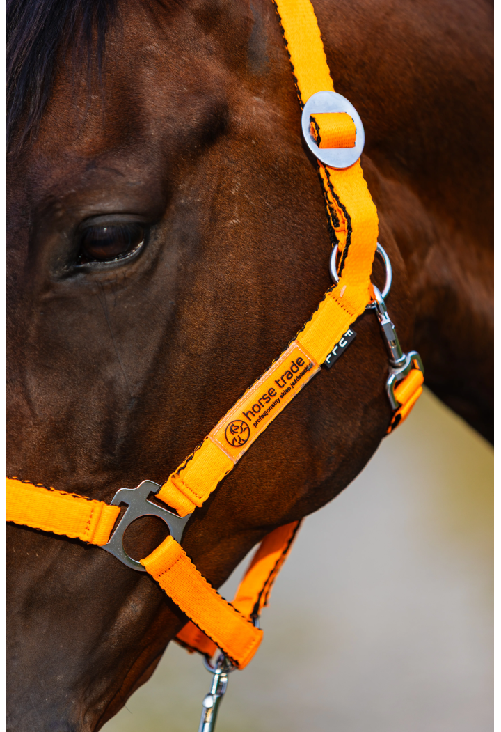 Cavezza HORSE-TRADE Soft Neon