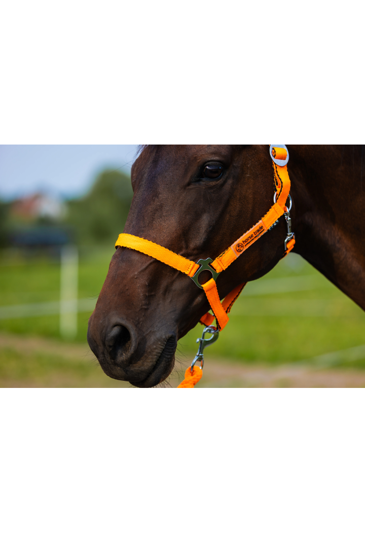 Cavezza HORSE-TRADE Soft Neon