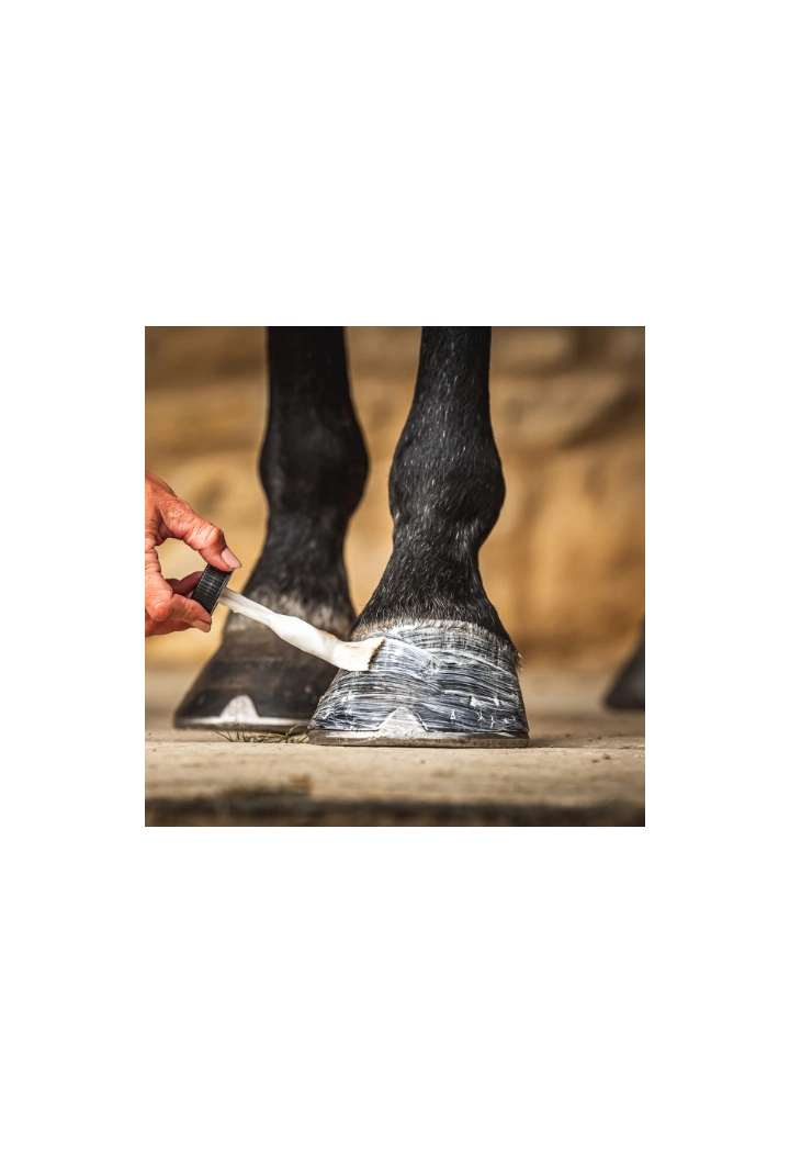 Preparazione per zoccoli C&D&M Daily Hoof Moisturiser 500ml