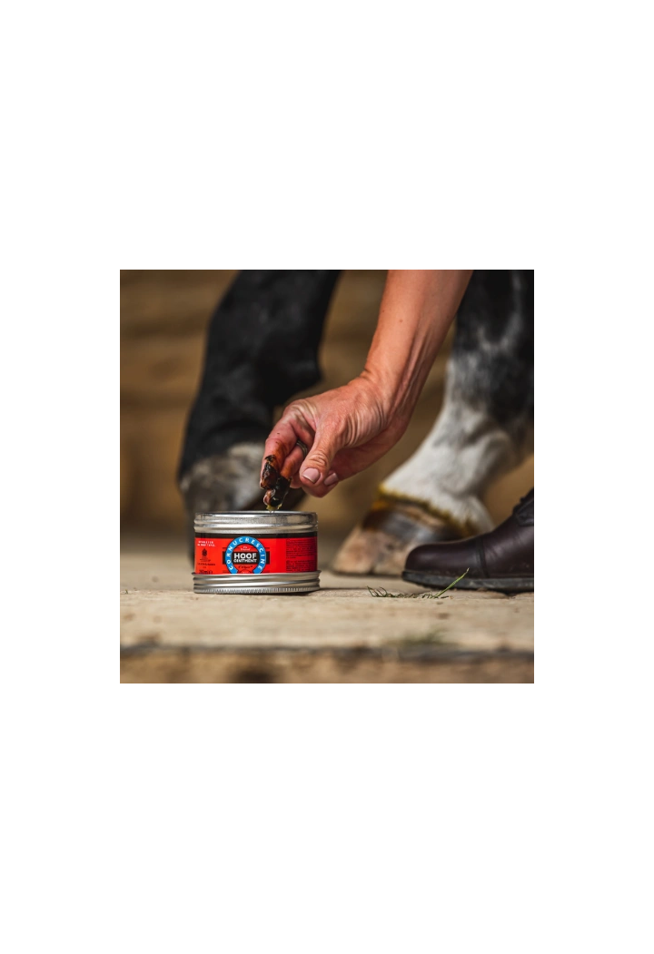 pasta zoccoli C&D&M Hoof Ointment