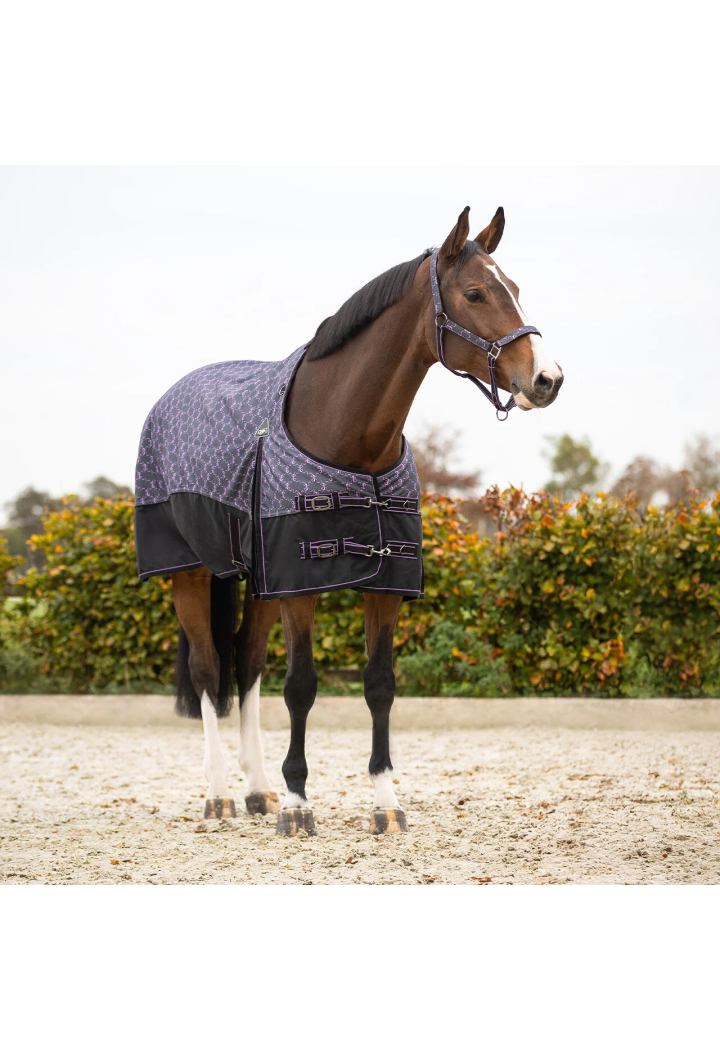 Coperta da paddock QHP 26AW 50gr