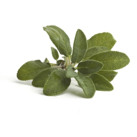 Erbe di salvia EQUIHERBS