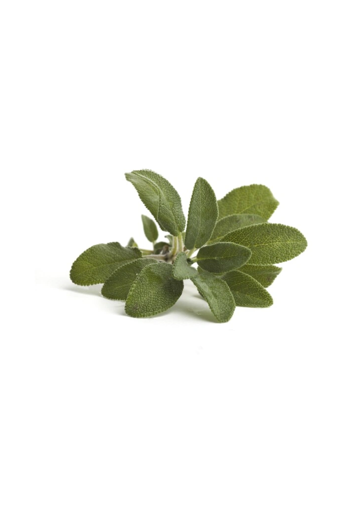 Erbe di salvia EQUIHERBS