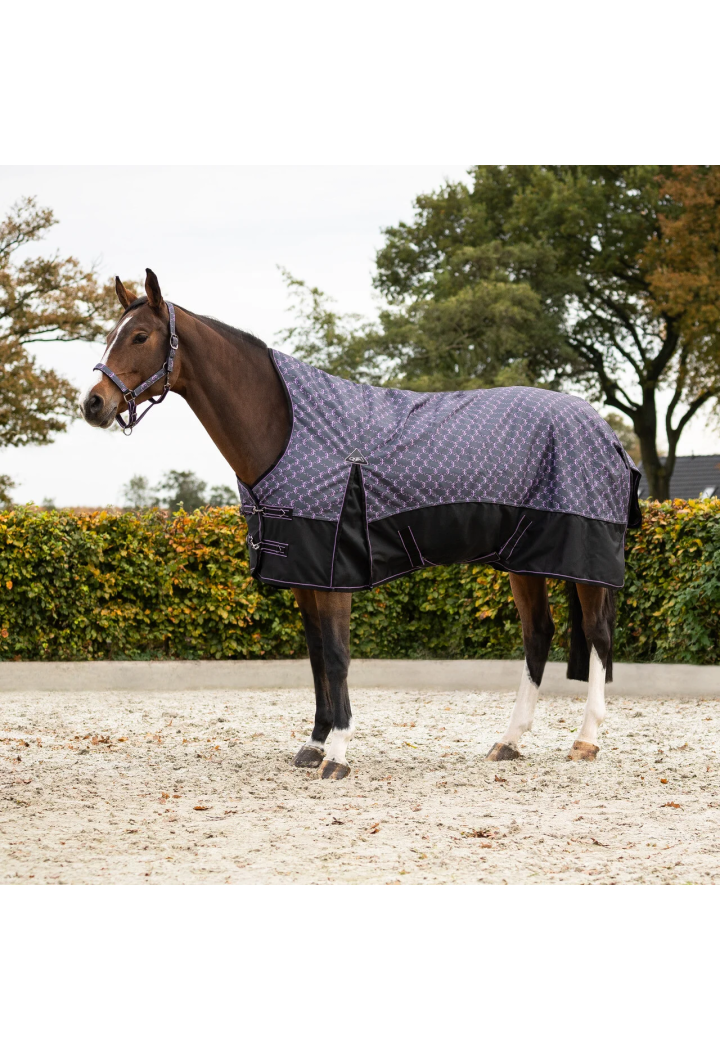 Coperta da paddock QHP collo sollevato 26AW 150gr