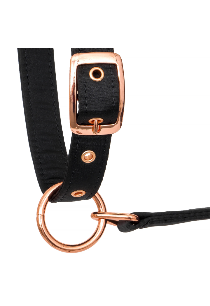 Cavezza EQUESTRIAN QUEEN Atene 26AW
