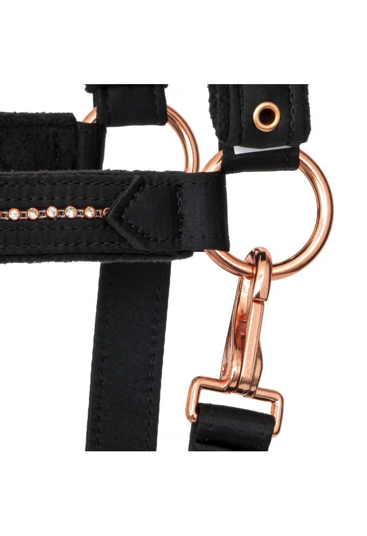 Cavezza EQUESTRIAN QUEEN Atene 26AW