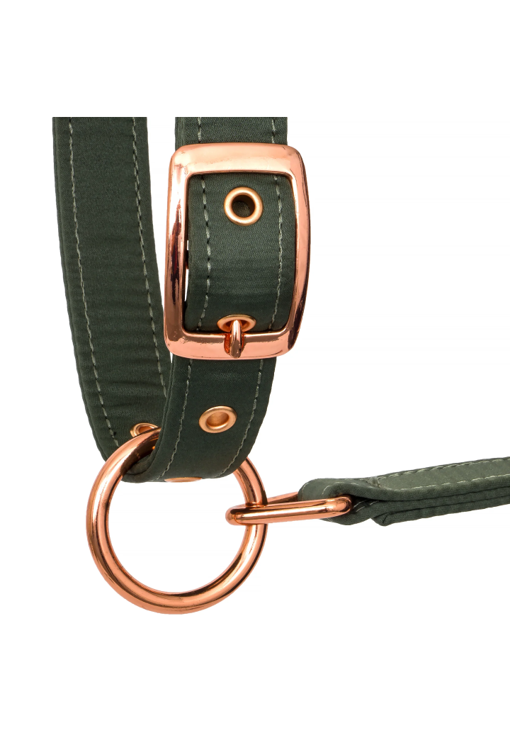 Cavezza EQUESTRIAN QUEEN Atene 26AW
