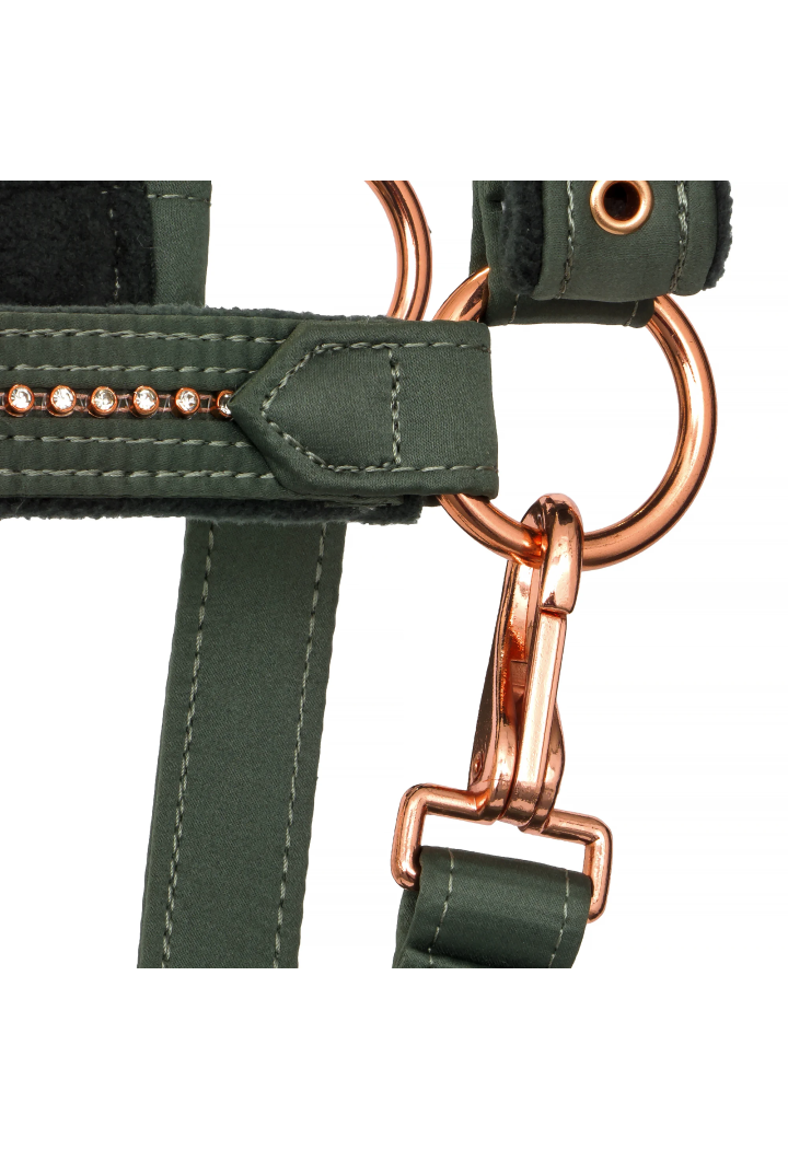 Cavezza EQUESTRIAN QUEEN Atene 26AW