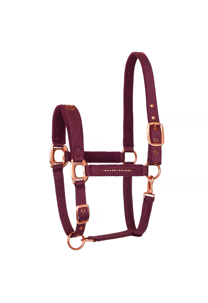 Cavezza EQUESTRIAN QUEEN Atene 26AW