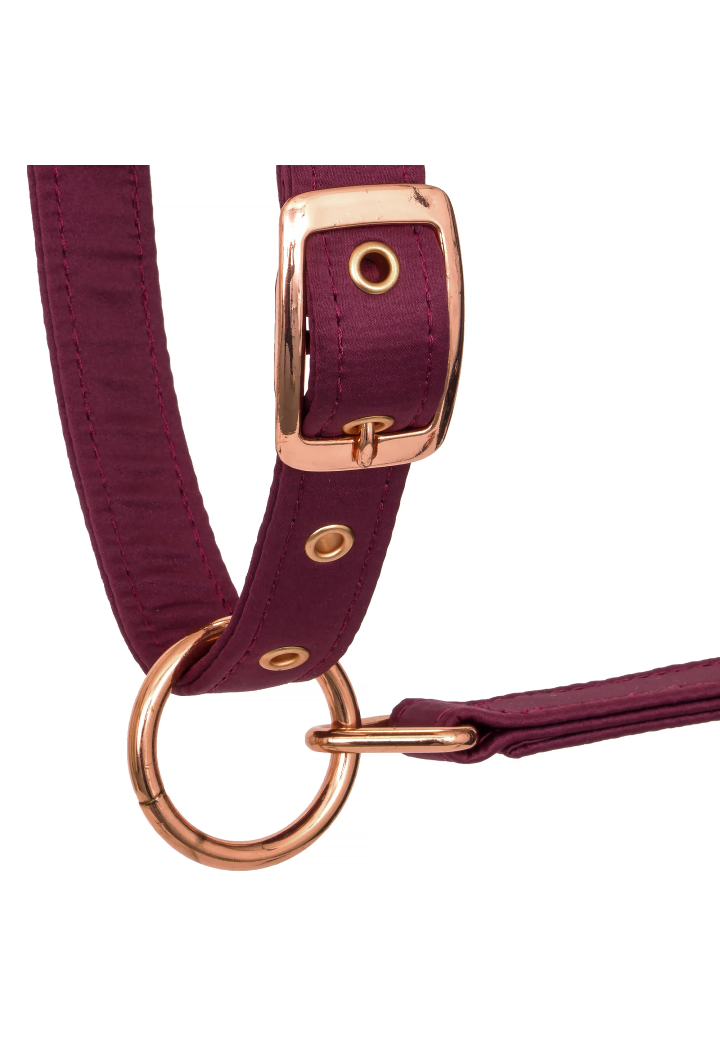 Cavezza EQUESTRIAN QUEEN Atene 26AW
