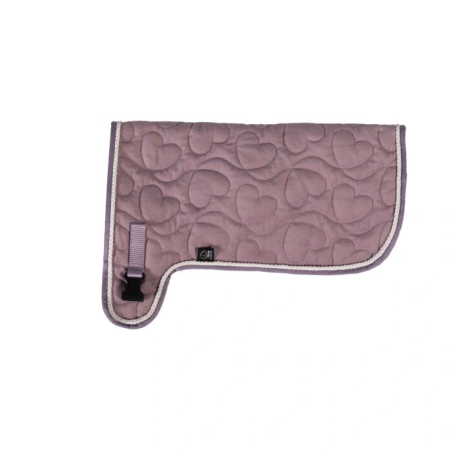 Coperta per cavalli deumidifica HKM Hobby Horsing