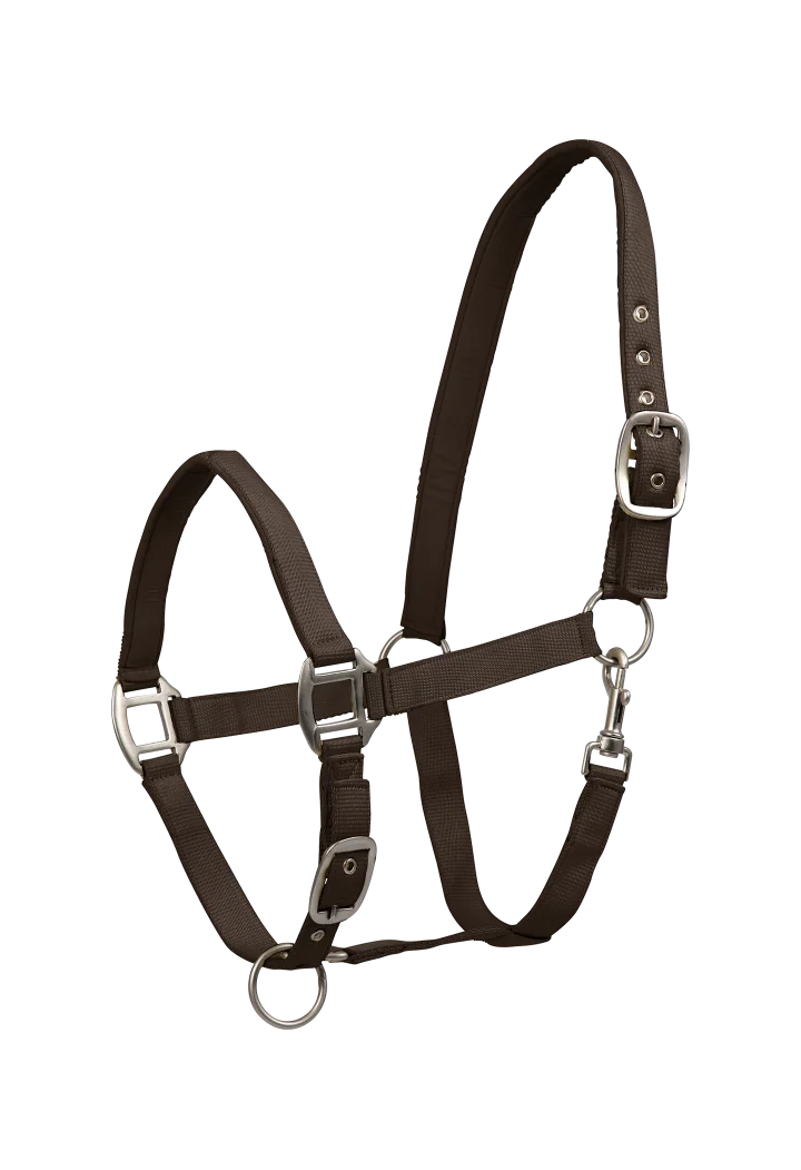Raso Cavezza WALDHAUSEN