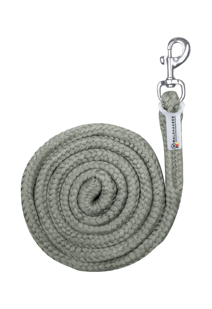 Lunghina WALDHAUSEN Economic 26AW