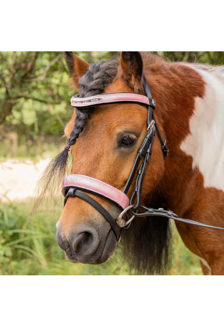 Testiera per pony HH Diva Mauvewood 26SS