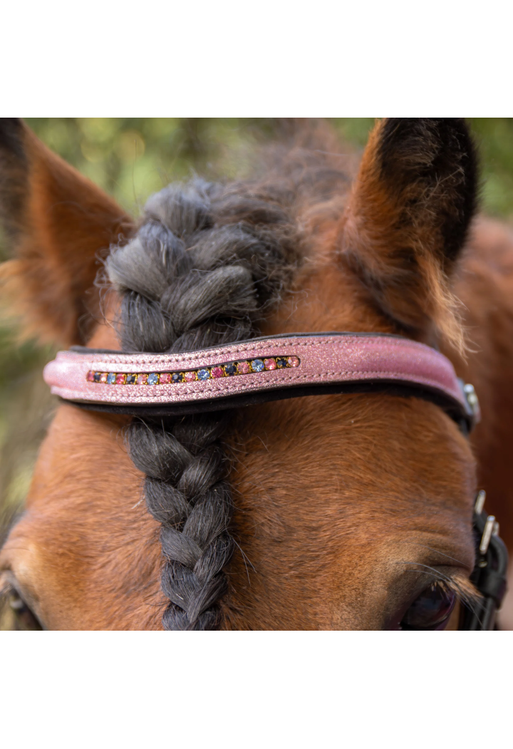 Testiera per pony HH Diva Mauvewood 26SS